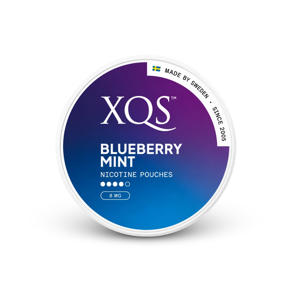 XQS Blueberry Mint Strong – nikotin zacskók doboza