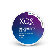 XQS Blueberry Mint Strong – nikotin zacskók doboza